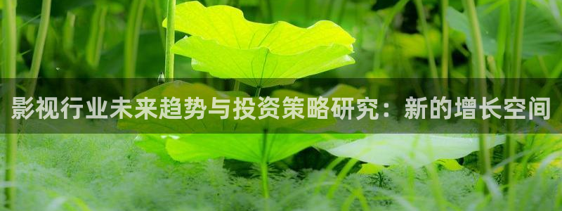 草民电影院免费看电影完整版：影视行业未来趋势与投资策略研究：新的增长空间