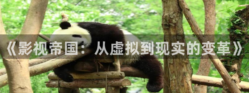 草民电影网最新电影：《影视帝国：从虚拟到现实的变革》