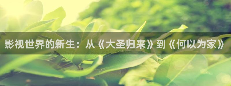 草民电视剧网：影视世界的新生：从《大圣归来》到《何以为家》