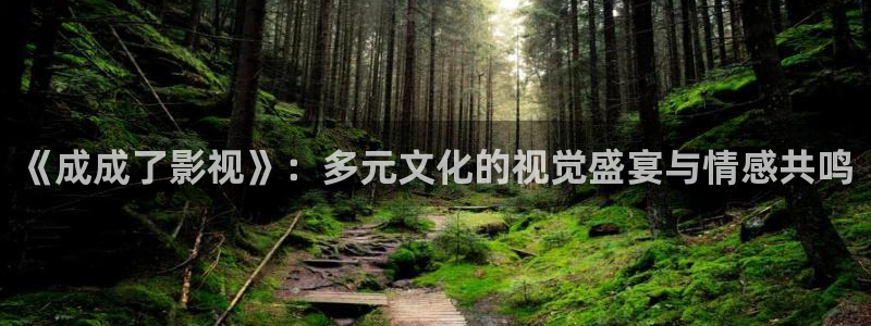 草民电影网伦理片：《成成了影视》：多元文化的视觉盛宴与情感共鸣