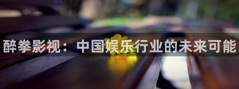 草民影院电视剧：醉拳影视：中国娱乐行业的未来可能