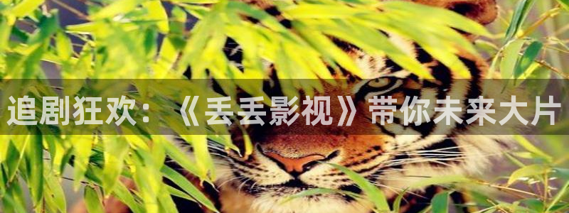 草民影院网站：追剧狂欢：《丢丢影视》带你未来大片
