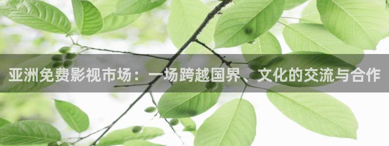 草民电影院免费观看：亚洲免费影视市场：一场跨越国界、文化的交流与合作