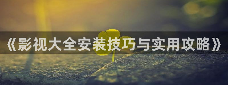 草民剧场：《影视大全安装技巧与实用攻略》