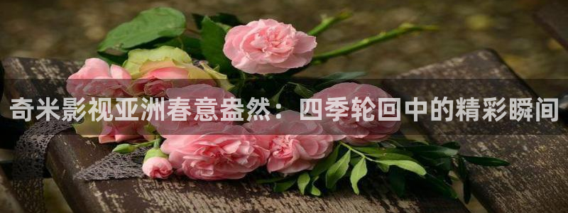 草民网电影院：奇米影视亚洲春意盎然：四季轮回中的精彩瞬间